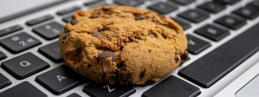 Garante Privacy Giochi Cookie