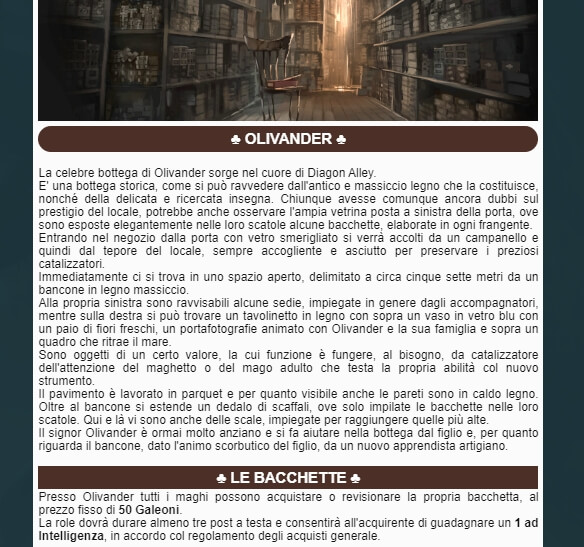 Revelio Hogwarts Gdr - Negozi
