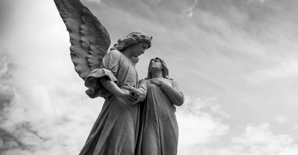 La Contaminazione, il Potere e la Morte