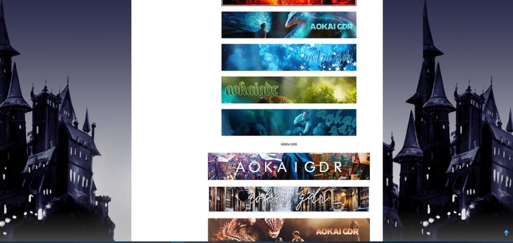 Aokai Harry Potter GdR - Banner