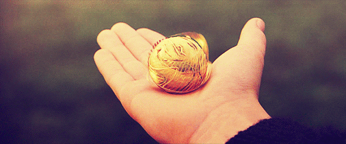 Il Boccino D'Oro