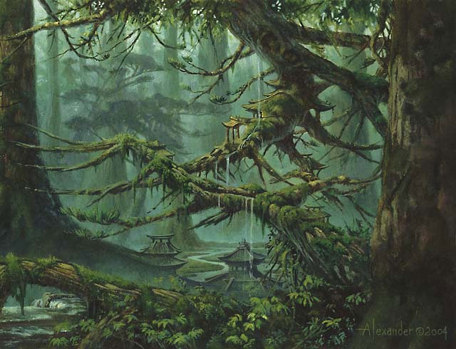 Incontri Casuali Foresta