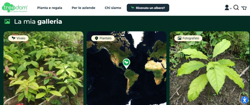 Foresta Treedom