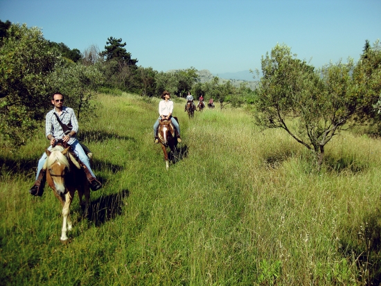 The Young Riders Italia