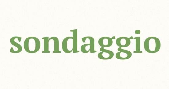 Sondaggio GdR 2008