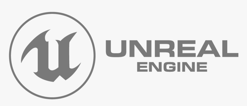 Unreal Engine MMORPG