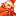 razze