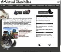 Virtual Chinchilla Game - Screenshot Animali e Fattorie