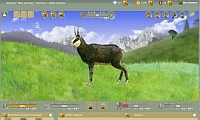 Anisnow - Screenshot Browser Game