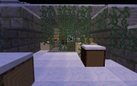 Anomaly Server - Screenshot Zombi