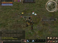 Arda - Lineage II Gracia - GDR - Screenshot Fantasy Classico