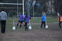 Ardea Furens CUSPO Quidditch - Screenshot Harry Potter