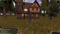 Asheron's Call - Screenshot MmoRpg