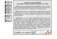 Austerlitz The Rise of the Eagle - Screenshot Play by Mail
