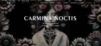 Carmina Noctis - Screenshot Live Larp Grv
