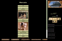 Cerchio GDR - Screenshot Fantasy