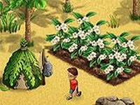 Coral Isle 2 - Screenshot Business e Politica