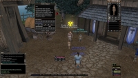 Dark Age of Camelot - Screenshot MmoRpg