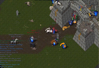 Destiny of the Middle-Earth - Screenshot MmoRpg