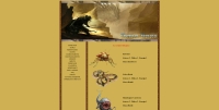 Dragon Hunter MMO - Screenshot Fantasy Classico