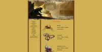 Dragon Hunter MMO - Screenshot Fantasy
