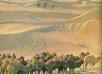 Dynasty Kingdoms - Screenshot Storico