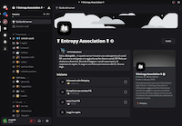 Entropy Association - Screenshot Play by Discord