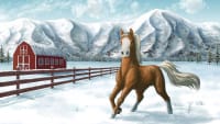 Equus Nation - Screenshot Browser Game