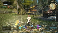 Final Fantasy XIV Online - Screenshot MmoRpg
