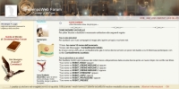GiratempoWeb - Screenshot Harry Potter
