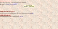 Gold Saints GdR - Screenshot Cavalieri dello Zodiaco