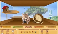 HamsterStory - Screenshot Browser Game