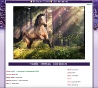 Horse Phenomena - Screenshot Animali e Fattorie