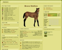 Howrse - Screenshot Browser Game