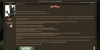 I Seguaci del Ramingo - Screenshot Fantasy d'autore