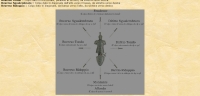 Il Risveglio di Arkanos - Screenshot Fantasy