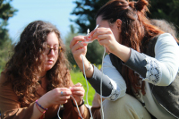 La Fianna - Screenshot Live Larp Grv