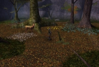 Lande di Arras - Screenshot MmoRpg