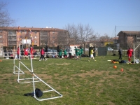 Latina Firestars Quidditch - Screenshot Live Larp Grv