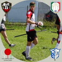 Lunatica Quidditch Club - Screenshot Harry Potter