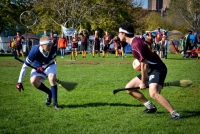 Messina Cariddi's Crown Quidditch - Screenshot Live Larp Grv