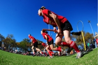 Midgard Vikings Quidditch Triveneto - Screenshot Harry Potter