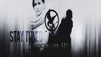 Mockingjay - Hunger Games GDR - Screenshot Post Apocalittico