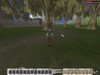 Navisaer - Screenshot MmoRpg
