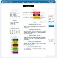 Next Gen Cricket - Screenshot Browser Game