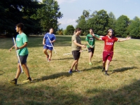 Phoenix Canavese Quidditch - Screenshot Harry Potter