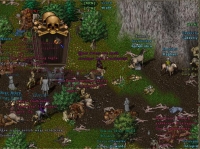 Phoenix UltimaOnline Shard - Screenshot MmoRpg