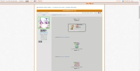 Pokmon Heart Amber - Screenshot Pokmon