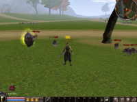 PriMetin2 - Screenshot Fantasy Orientale