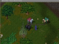 Ultima Online - Progetto GDR - Screenshot Fantasy d'autore